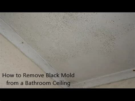 Black Mold In Bathroom Ceiling | online information