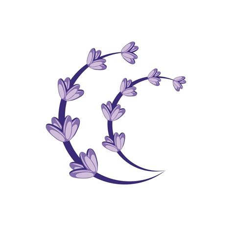 Lavender flower design illustration 3519429 Vector Art at Vecteezy