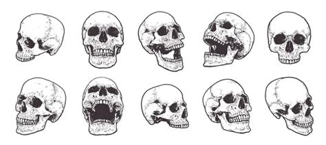 44,352,261 Skull Vector Images | Depositphotos