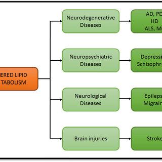 Altered lipids metabolism and associated brain diseases. | Download Scientific Diagram