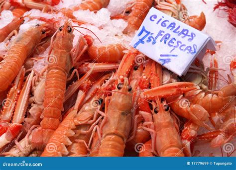 Norway lobster stock image. Image of gourmet, lobster - 17779699