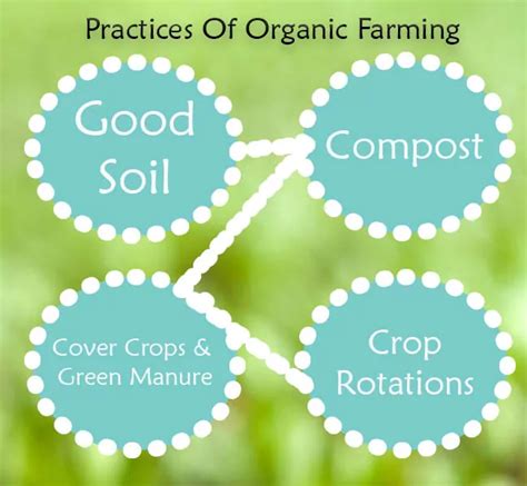 Organic Farming: Benefits, Requirements, & Practices | EDaily Hub