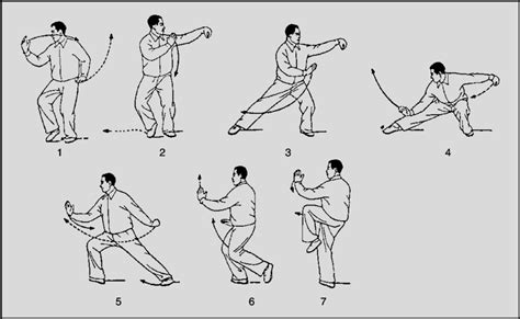 An example of a typical tai chi chuan form (push down and stand on one... | Download Scientific ...