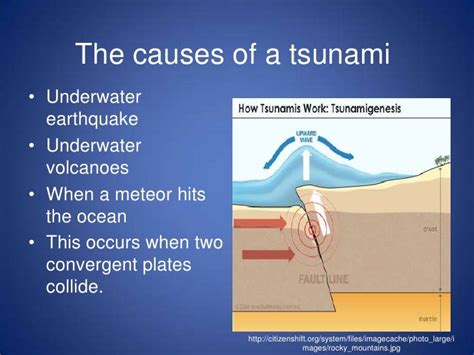 Rose S. Tsunami