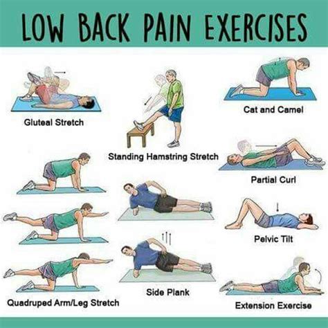 Muscle Exercises: Lower Back Muscle Exercises At Home