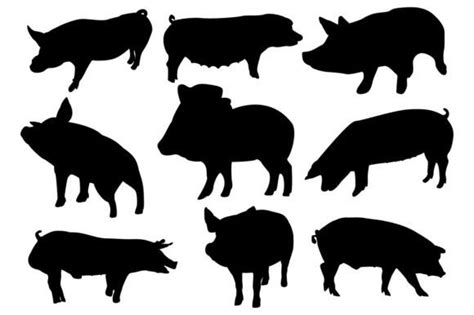 Black Pig Animal Vector Silhouette Graphic by Bikash Roy · Creative Fabrica