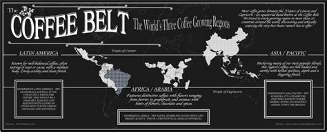 The Coffee Belt — Information is Beautiful Awards