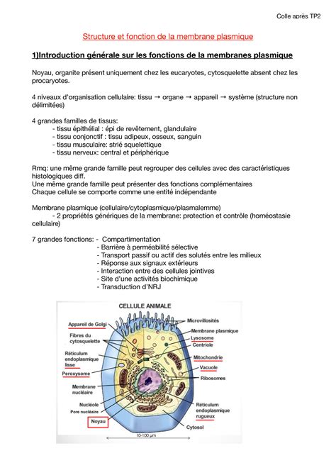 2021/09/15 biologie cellulaire cours 1 "Structure membrane" L1 SV ...