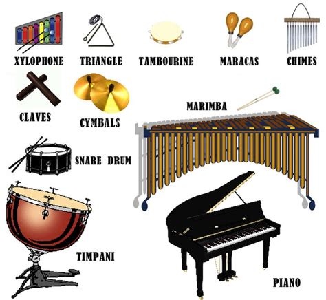 What Is Percussion Instruments In Music - Tujuan Percutian