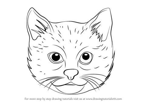 Learn How to Draw a Cat Face (Cats) Step by Step : Drawing Tutorials