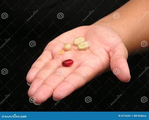 Regular & Peaberry Coffee Beans Stock Image - Image of roasted, unroasted: 6776281