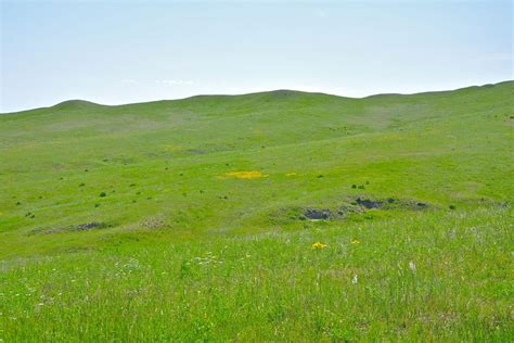 Tallgrass Prairie Ecosystem Images | North American Prairies | Live Science