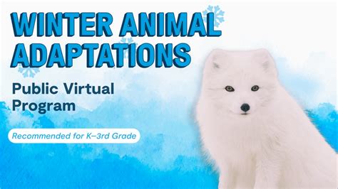 Winter Animal Adaptations - Science in Seattle