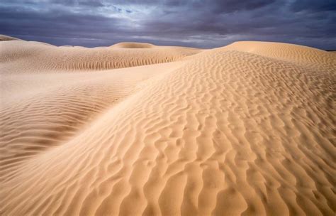 Sahara Desert Camel Trek in Tunisia 6-Day Tour - Mosaic North Africa