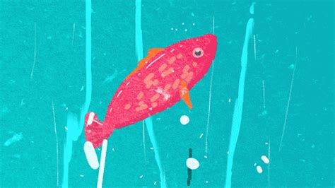 Fish 2D Animation GIF by Caleb Wood - Find & Share on GIPHY