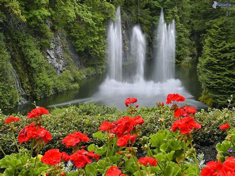 Beautiful Nature Images: Waterfall With Flowers | Beautiful Nature And Imags