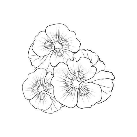 Cute Kids Coloring Pages, Easy Pansy Flower Drawing, Pansy Flower Black and White Illustration ...