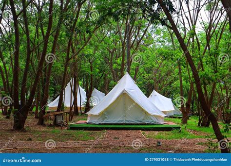 Camping Tents in the Forest Stock Photo - Image of forest, jungle ...