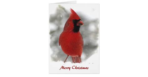 Cardinal Christmas Cards | Zazzle