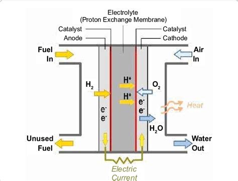 Proton Exchange Membrane Fuel Cell Diagram