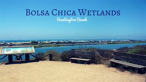 Bolsa Chica Wetlands in Huntington Beach - Fun Orange County Parks