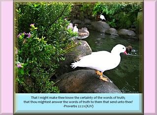 87: Daily Inspirational Bible Verse | Proverbs 22:21 (KJV) -… | Flickr