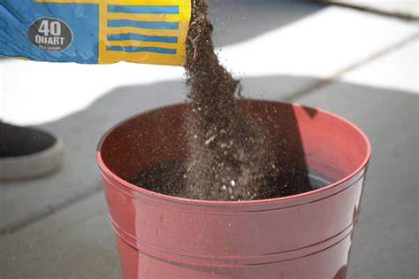 Setting up a Potted Perennial Herb Garden - Home Cooks Classroom