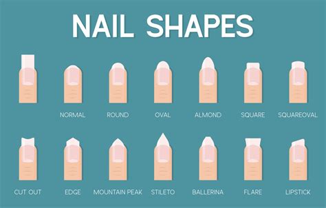 Nail Shapes Chart: A Guide To Perfect Nail Style