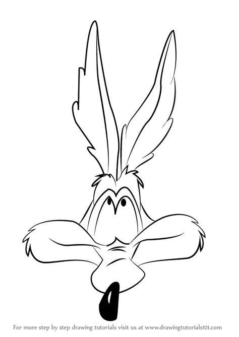 Learn How to Draw Wile E. Coyote Face (Wile E. Coyote) Step by Step : Drawing Tutorials