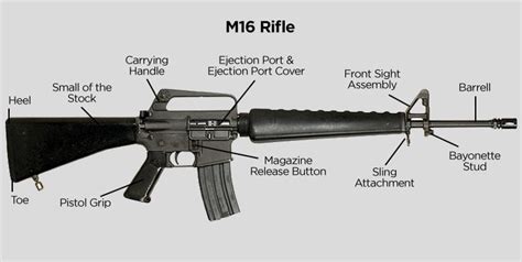 Parts Of M16 Rifle