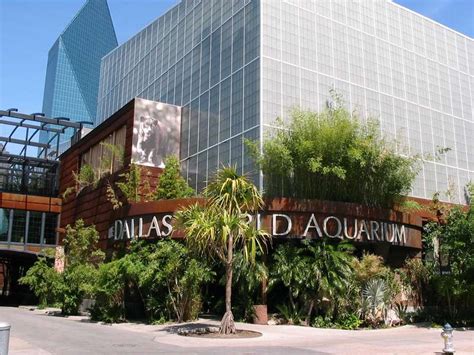 Dallas World Aquarium: A Other in Dallas, TX - Thrillist