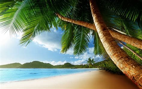 HD wallpaper: Tropical Palm Trees Beach Ocean HD Desktop, beaches | Wallpaper Flare