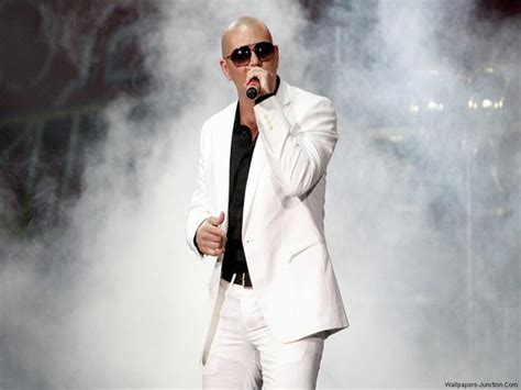 Pitbull - Music Wallpaper (25094211) - Fanpop