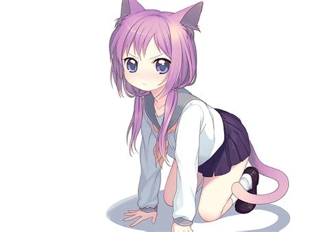 HD wallpaper: Cat Girls, Anime Girls, Nekomimi, Big Eyes, Look, Anime, pink haired woman anime ...