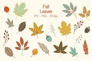 Autumn Fall Leaves Clip Art Set | Decorative Illustrations ~ Creative Market