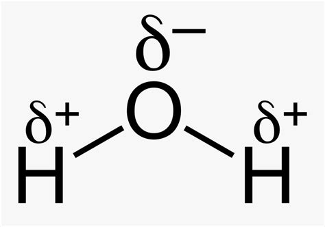 H2o Chemical Bond - Structure Of Water With Partial Charges , Free Transparent Clipart - ClipartKey