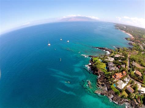 Turtle Town Maui | Swim with Hawaiian Green Sea Turtles