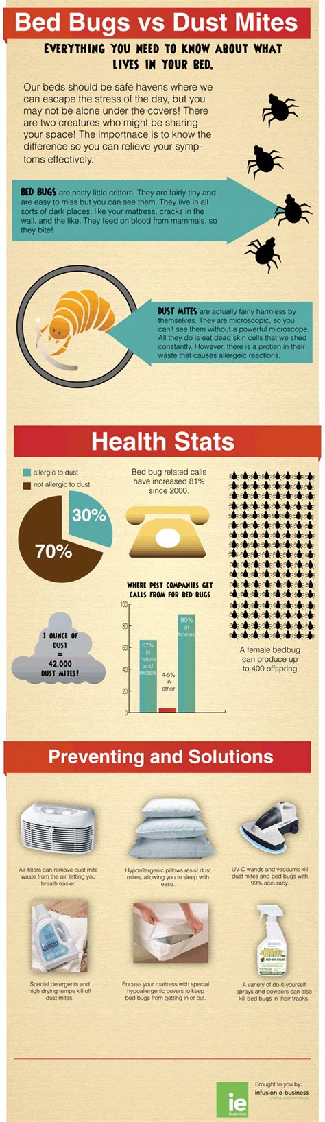 Dust Mites Definition Symptoms Prevention Study | Hot Sex Picture