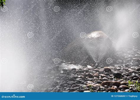 Water mist stock photo. Image of nature, cobble, beautiful - 127268602