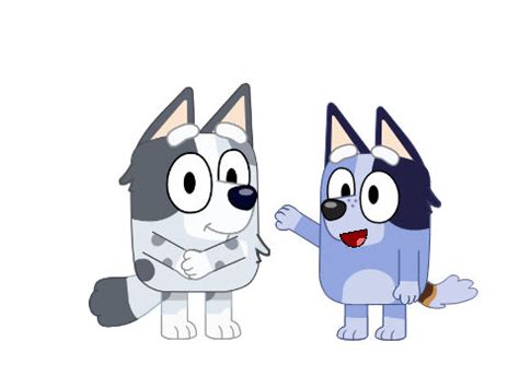 Bluey, Muffin Heeler and Socks Heeler by pinkfong2019 on DeviantArt