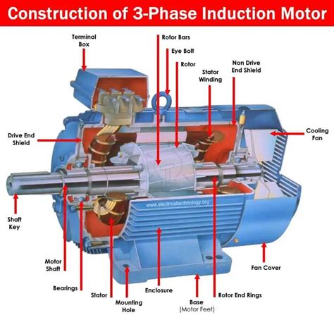 Three Phase Induction Motor: Types, Working, and Applications