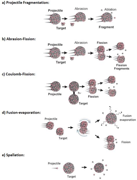 5: The schematic view of the most common reaction mechanisms for the ...