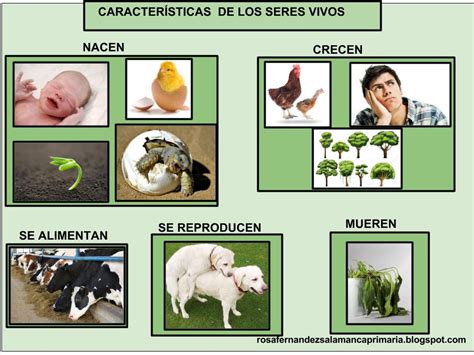 Maestra de Primaria: Seres vivos y Seres inertes. Características de los seres vivos.