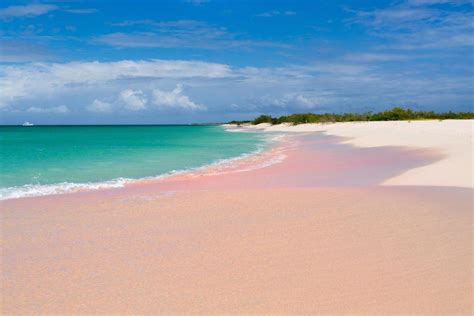 10 Pink Beaches and Lakes