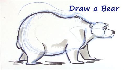 How To Draw A Cartoon Bear