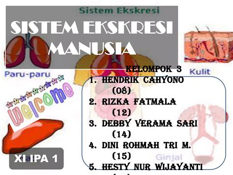 Sistem ekskresi | PPT