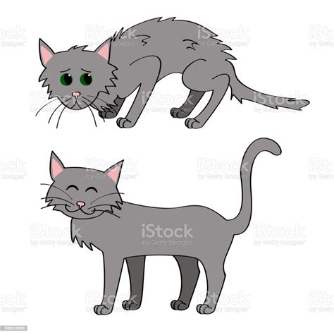 Adopt A Cat Stock Illustration - Download Image Now - Domestic Cat ...