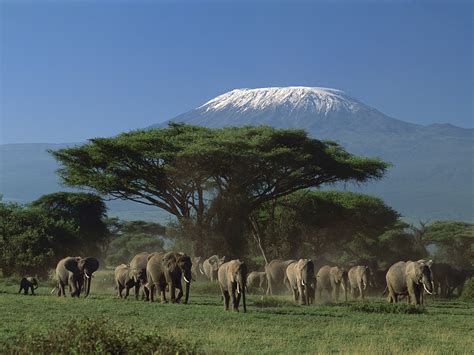 Travel specialist in Tanzania on climbing kilimanjaro and Safaris