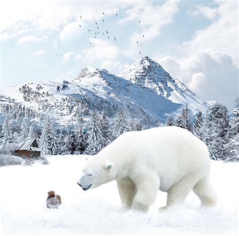 Polar Bear Snow Wildlife - Free photo on Pixabay - Pixabay