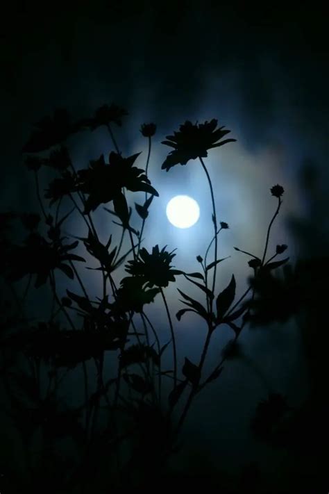 45 Fascinating Full Moon Photography Tips and Ideas